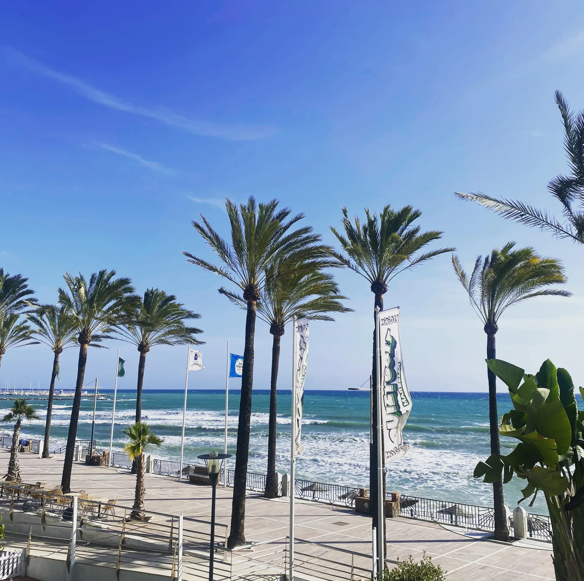 Strandboulevard Marbella met palmbomen en zee